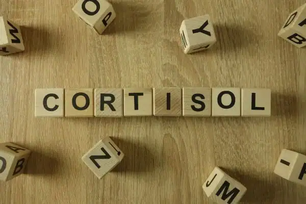 The Hidden Connection: How Stress Shapes Your Fitness and Body Composition 2 Image saying "Cortisol" and how stress Bicester impacts your wellbeing and bodies shape